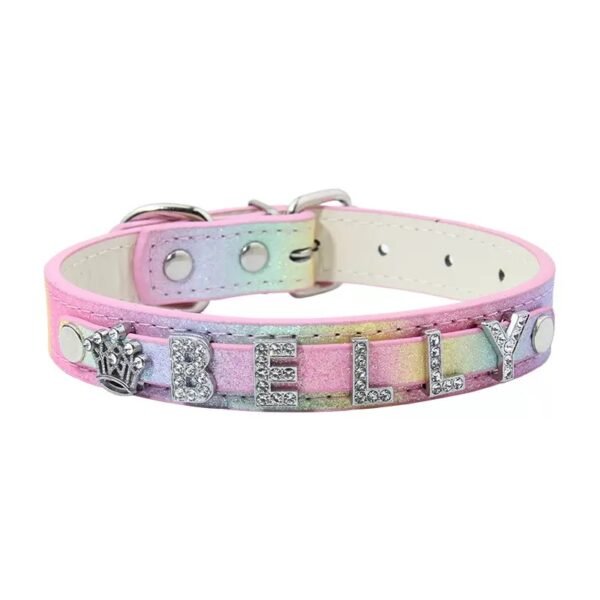 12 Personalized Name Pet Charms Rhinestone DIY Colorful Pet Collar