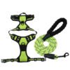 2 Colorful Medium and Large-sized Dog Harness & Leash Set
