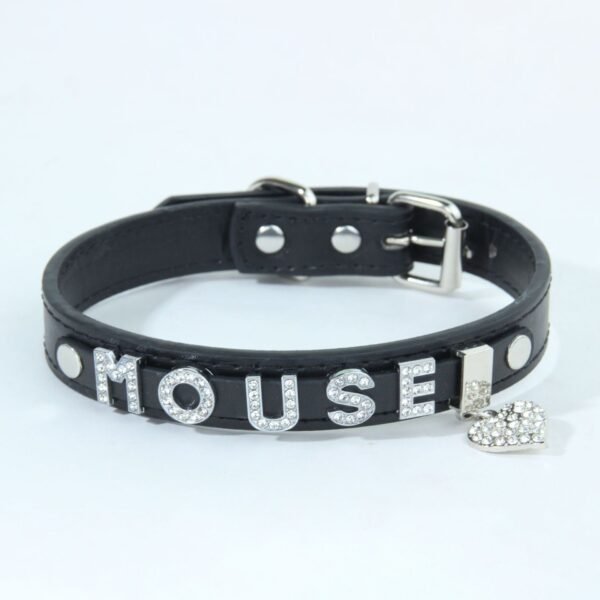21 Personalized Name Pet Charms Rhinestone DIY Pet Collar
