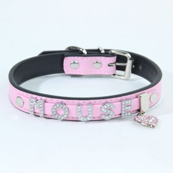 22 Personalized Name Pet Charms Rhinestone DIY Pet Collar