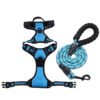 5 Colorful Medium and Large-sized Dog Harness & Leash Set