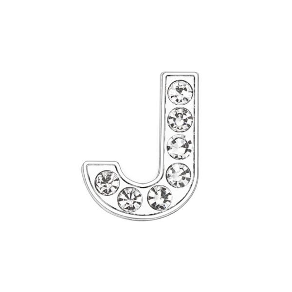 555 Pet Collar accessories