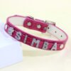 Personalized Name Pet Charms Rhinestone DIY Pet Collar