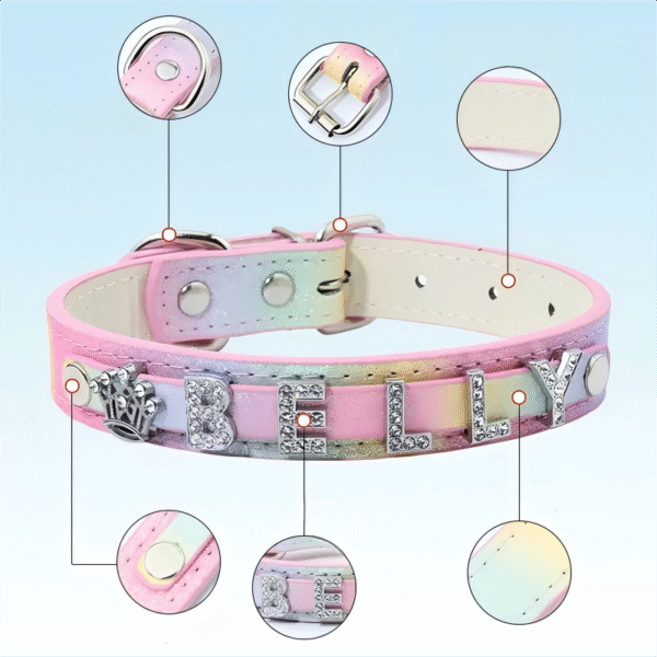 9(1) Personalized Name Pet Charms Rhinestone DIY Colorful Pet Collar