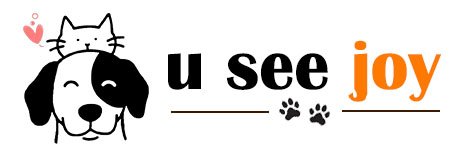 useejoy.com