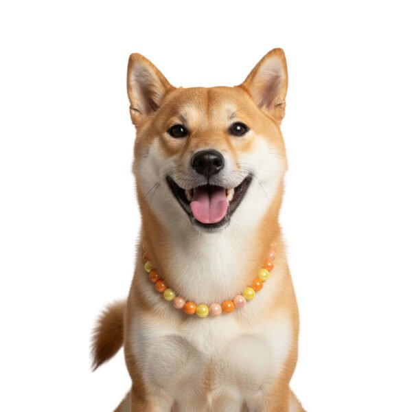 46 Personalized DIY Colorful Pet Bead Collar
