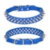 56 (1) Bite-proof Rivet Dog Collar