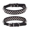 56 (2) Bite-proof Rivet Dog Collar