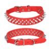 56 (5) Bite-proof Rivet Dog Collar