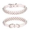 56 (7) Bite-proof Rivet Dog Collar