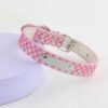 6 Personalized Name DIY Pet Collar