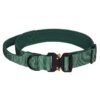 Outdoor Training Large Dog Collar