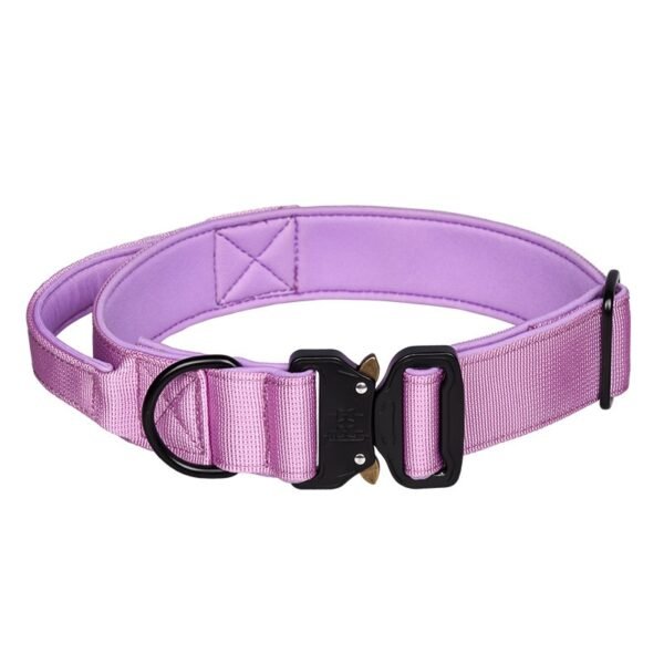 68 (2) Outdoor Training Large Dog Collar