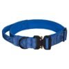 68 (4) Outdoor Training Large Dog Collar