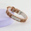 7 Personalized Name DIY Pet Collar