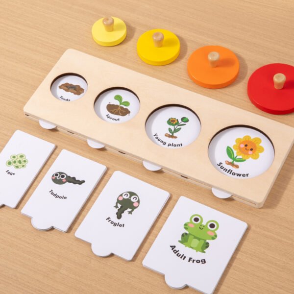 Montessori Growth Matching Toys