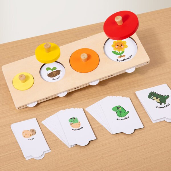 Montessori Growth Matching Toys