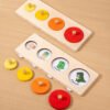 Montessori Growth Matching Toys
