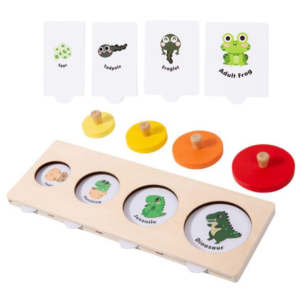 Montessori Growth Matching Toys